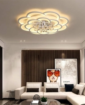   16 CÁNH MAI PHI 900	