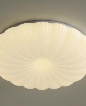 Đèn Ốp Trần MSS-C958